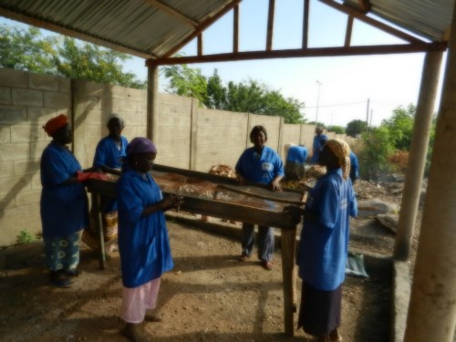 Les femmes de l'Afphy du quartier de Nanlog à Dapaong, au travail.